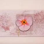 Apartment Rosy